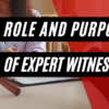 Purposes of a Financial Expert Witness