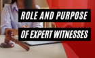 Purposes of a Financial Expert Witness